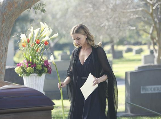 Emily Vancamp, Revenge Emily Vancamp, Revenge
